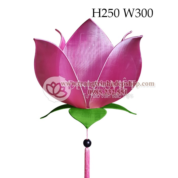 đen-sen-treo-30-mau-01-trangtrinhadepshop